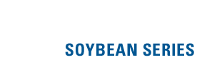 SOYBEAN SERIES