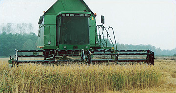 CRESSONI - SERIE GETREIDE - CRX Rice